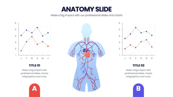Slide de anatomia