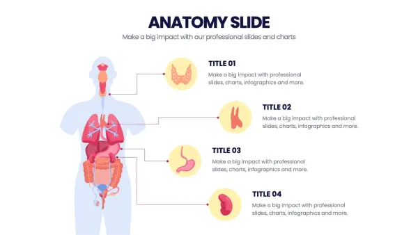 Slide de anatomia